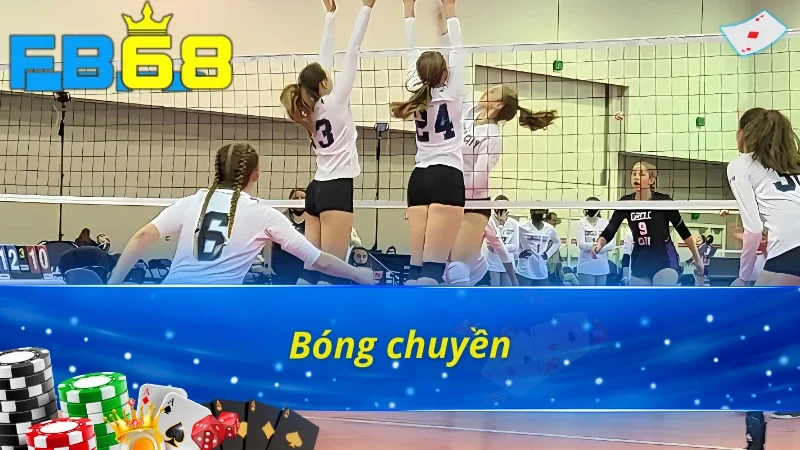 Bóng chuyền tại thể thao Saba Fb68