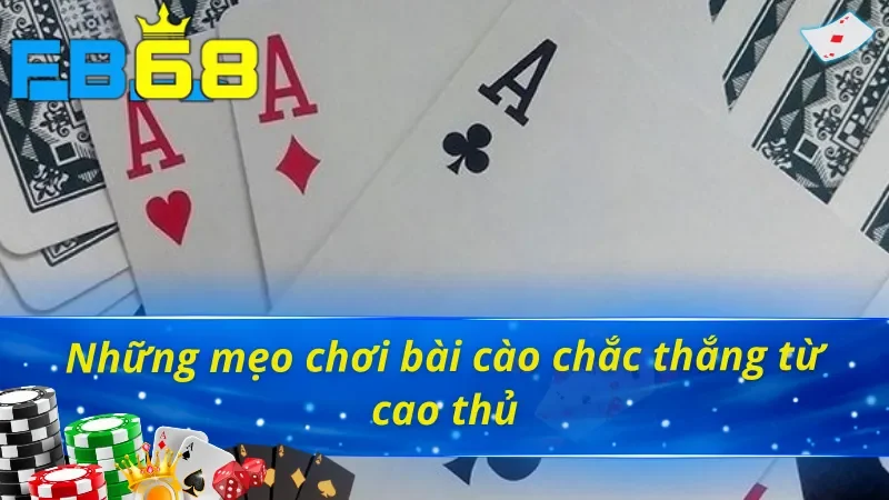 Mẹo chơi bài cào hữu ích từ chuyên gia 