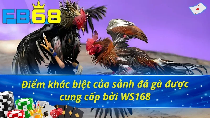 Nét đặc trưng của đá gà WS168 FB68 so với thị trường