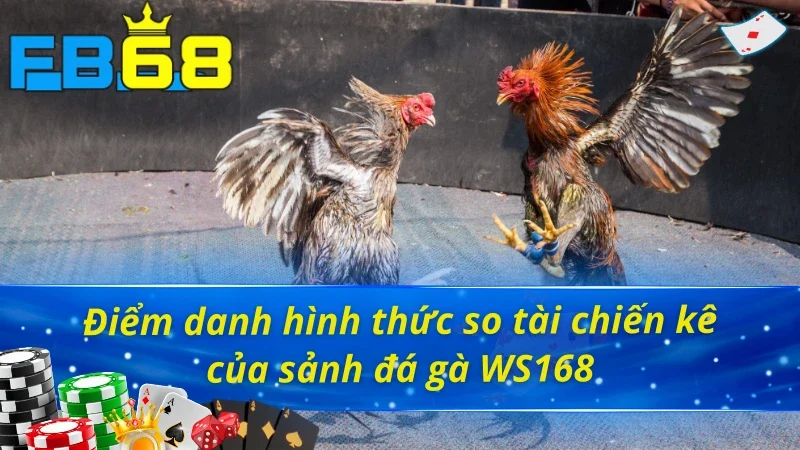 Đá gà WS168 FB68 sở hữu đa dạng hình thức chọi gà