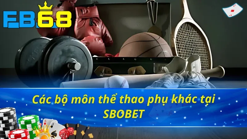 Tổng hợp các bộ môn thể thao phụ khác tại SBOBET